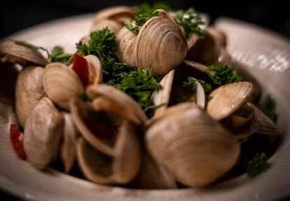 Little Neck Clams